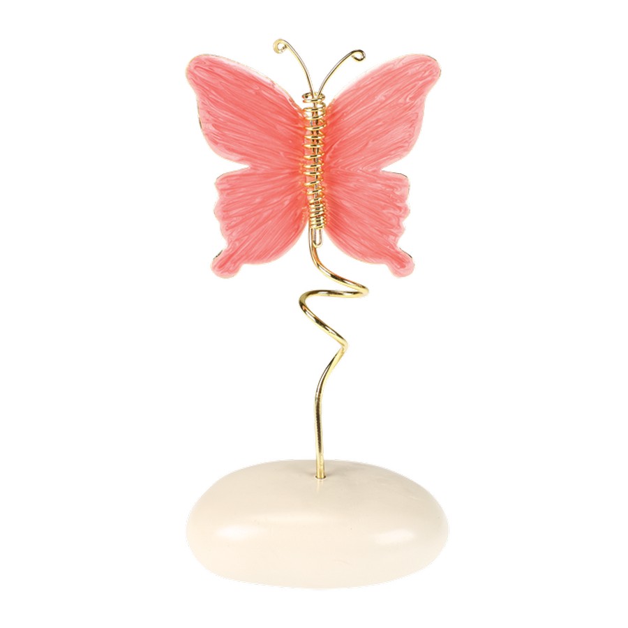 Πεταλούδα Χρωματιστή σε Βότσαλο