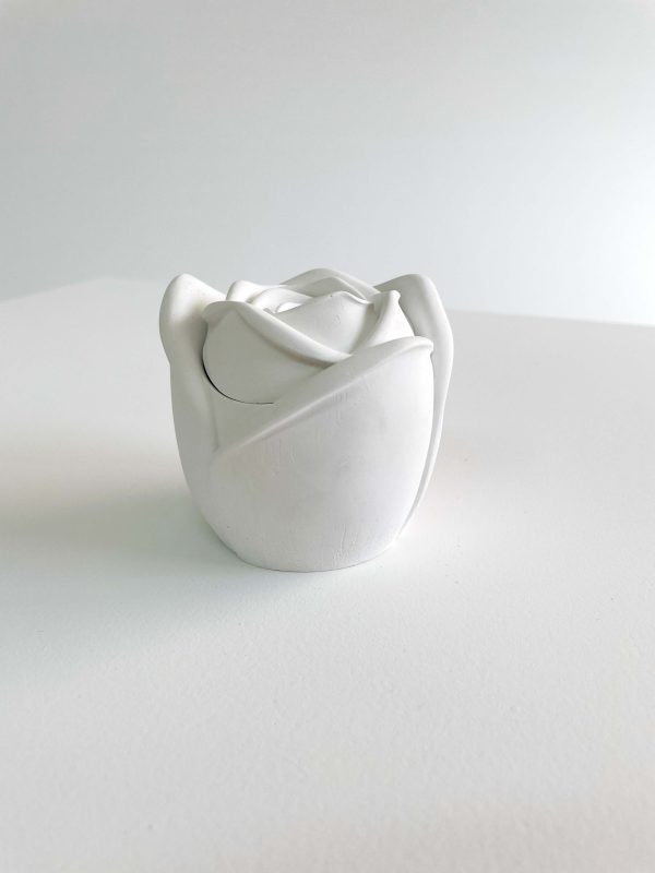 Τριαντάφυλλο mp-153