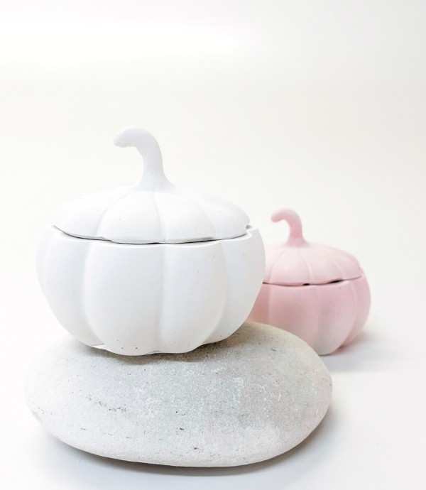 Κουτάκι κολοκύθα mp-027